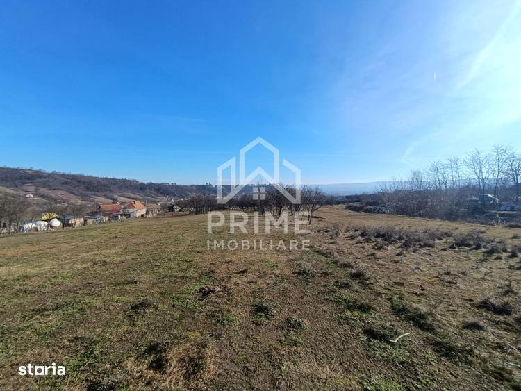 Teren Generos in Paclisa Intimitate si Natura la un pas de oras - 1