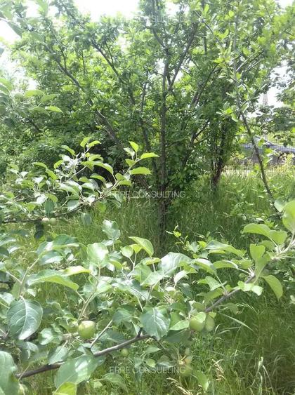 Casa situata in carttierul rezidential Domnesti - 4