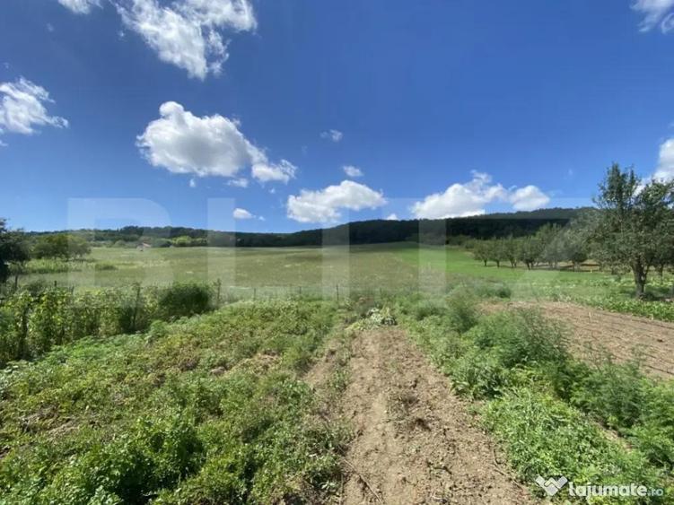 Teren intravilan in suparafat de 19213 mp, zona Valea Mitii - 1