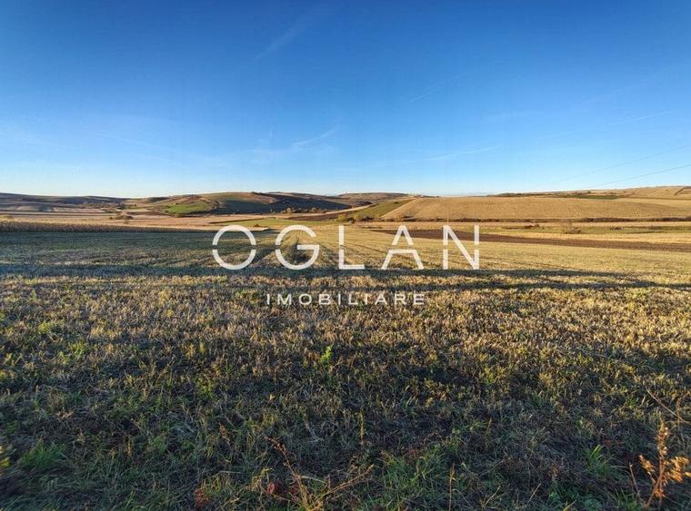 Teren intravilan cu PUZ pentru investitie - 26.100 mp - Sura Mare - 6