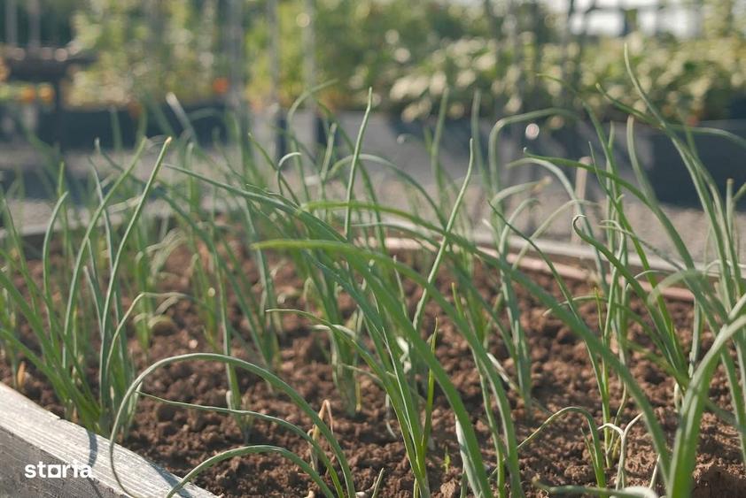 Teren si casa vacanta 4 anotimpuri - 2