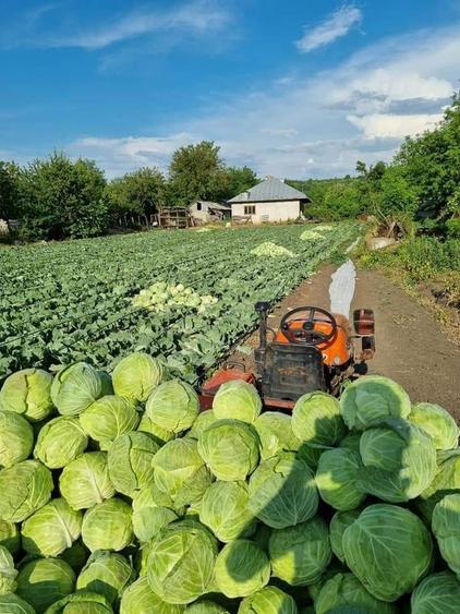 Casa cu 1 ha de teren agricol / 15 km Tecuci - 1