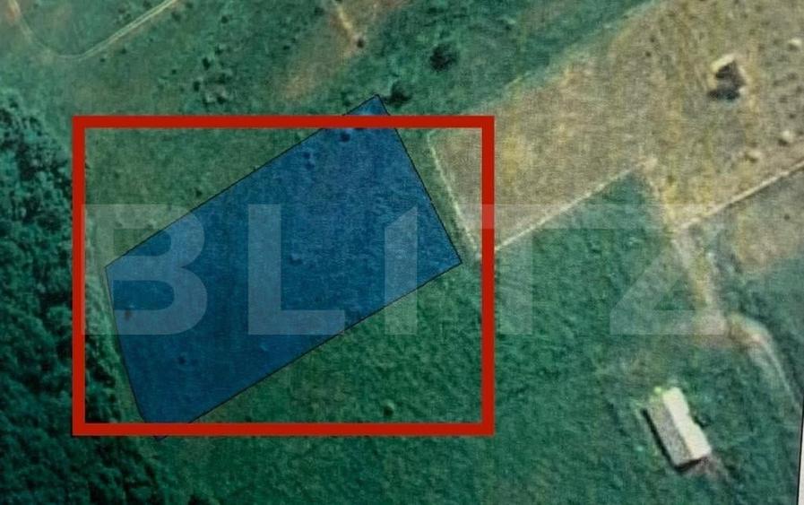 Teren intravilan, 4550mp, zona Parc Dendrologic - 1