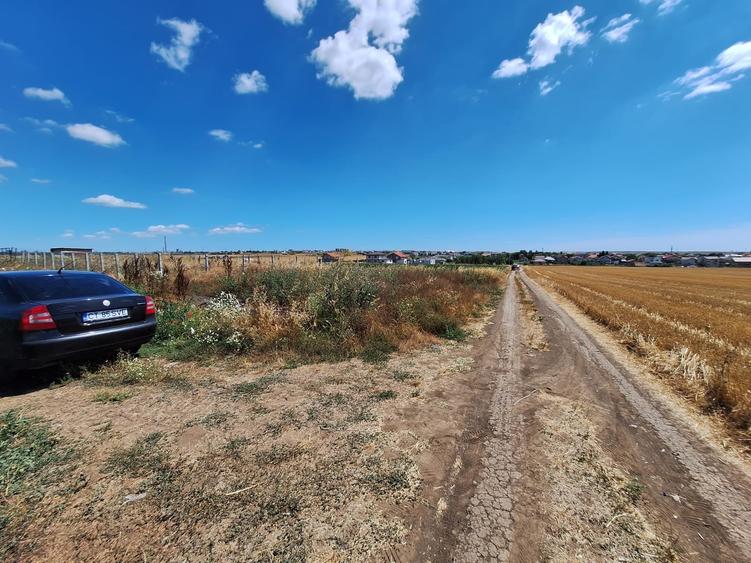 Teren Construcții intravilan de 5000 mp, în Lazu