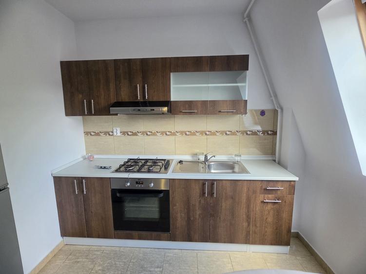 Apartament cu 2 camere în Griviței