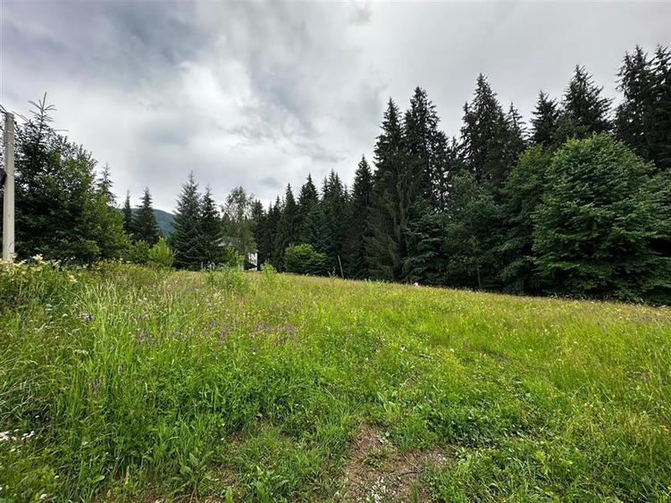 Teren Construcții intravilan de 1046 mp, în Durău