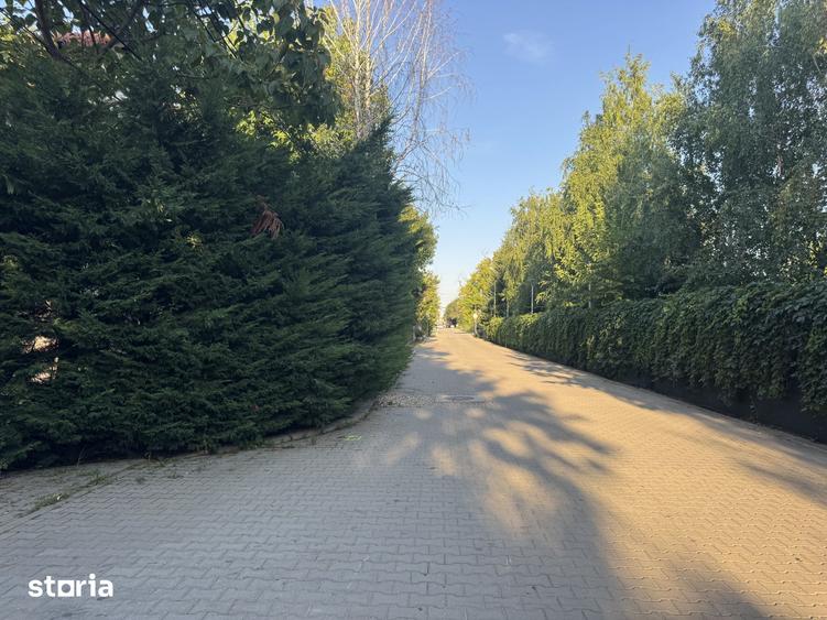Inchiriere vila pentru birouri - 16