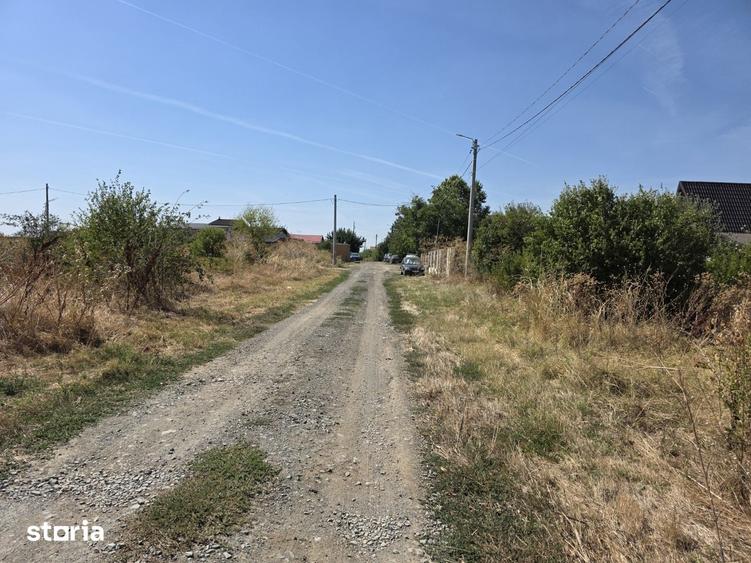 Teren de 1650 mp, în Brănești