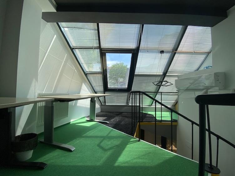 Cismigiu-Mircea Vulcanescu - 8