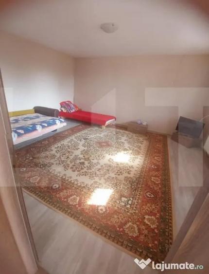 Blitz va ofera spre vanzare casa in Vladimirescu - 4