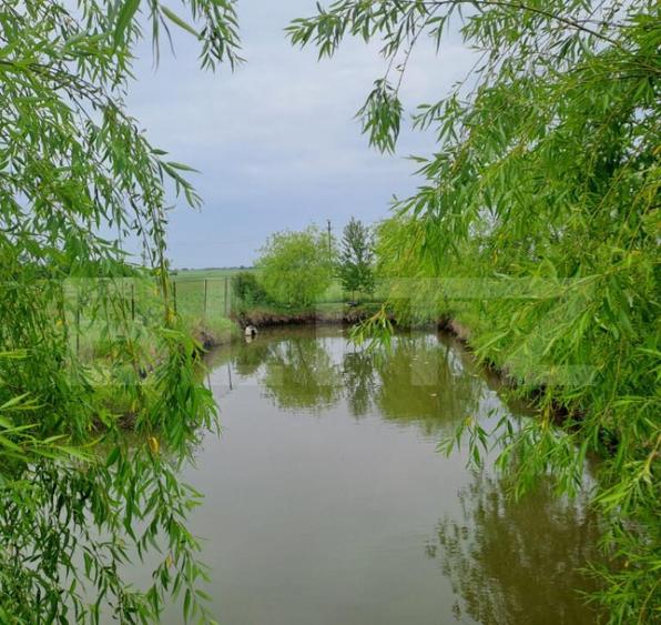 Casa cu teren generos ?i balta de pescuit Gae?ti - 26