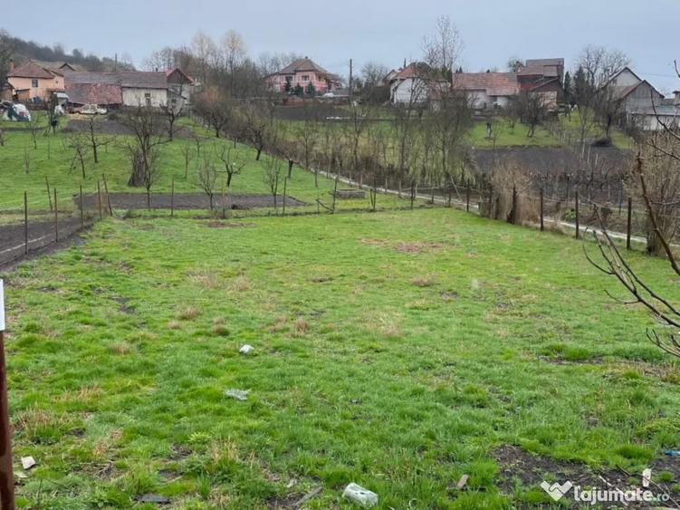 Casa de vanzare localitatea Lunca, jud. Mure? - 1