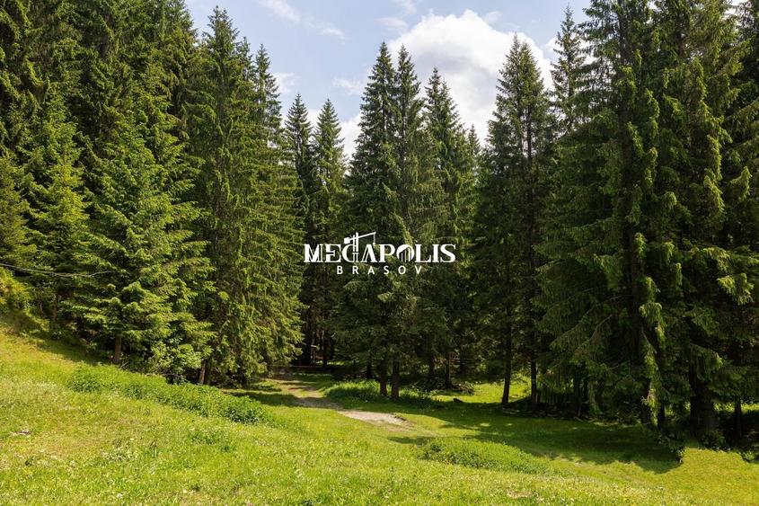 Pretabil Hotel,Pensiune,Case de Vacanta/Utilitati/PUZ - 10