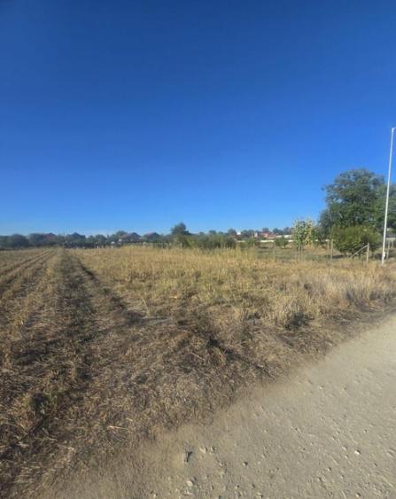 Teren 1000mp ,la intrarea in Filiasi - 5