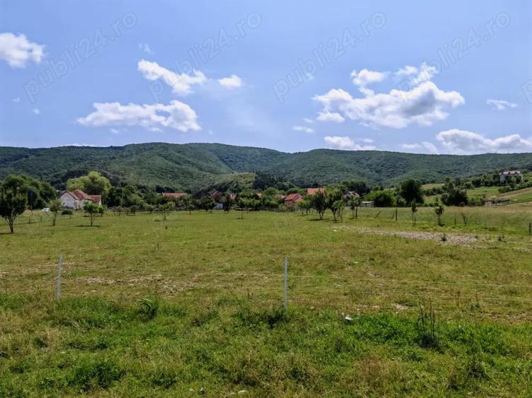 Teren intravilan 7.800 mp Marcu? sau loturi incepand cu 7.000 euro. - 6