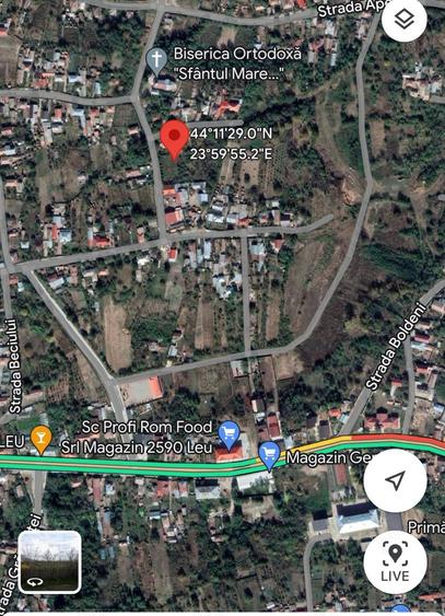 Vand 700 mp (teren intravilan+ casa), Leu , jud Dolj livada pomi - 1