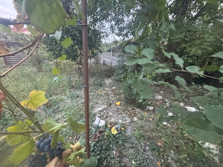 Vand casa in Ronat 350000 euro - 13