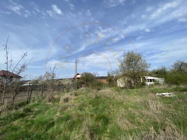 Teren intravilan 1.400 mp - Schitu Golesti AG - 5
