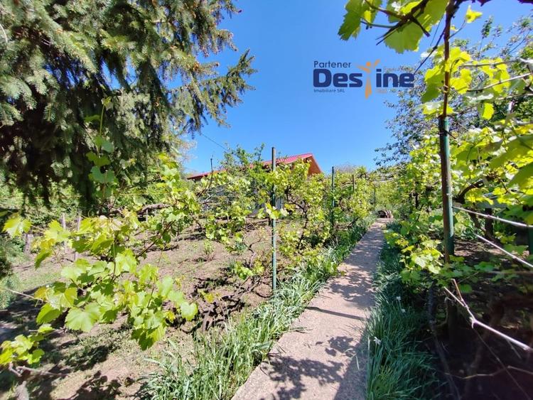 Casa individuala P+M, 164 mp utili + 1062 mp teren, COPOU - 3