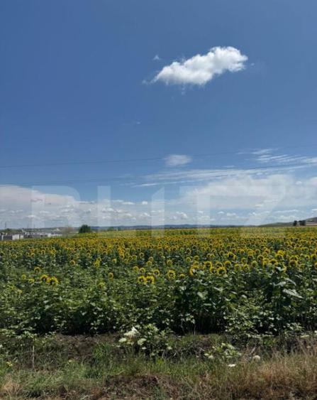 Teren intravilan 20000 mp, Parc Industrial Badeni - 3