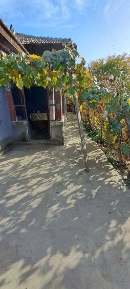 Vand casa comuna Contesti, jud.Teleorman - 5