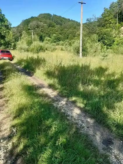 Teren de 1500 mp, în Central
