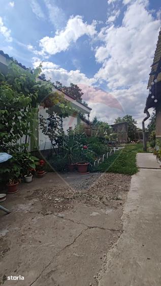 Casa cu 2 dormitoare si anexe gospodaresti de vanzare Cefa central - 9
