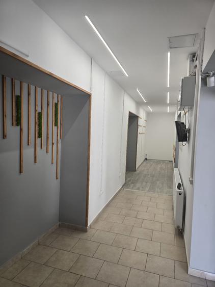 Hala depozitare sau mica productie, zona Zizinului, 400mp - 7