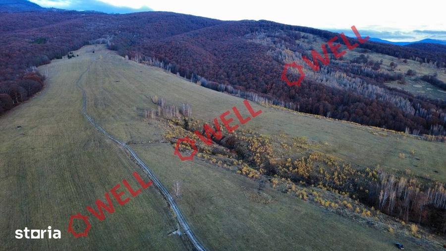 Teren de 126700 mp, în Bățani