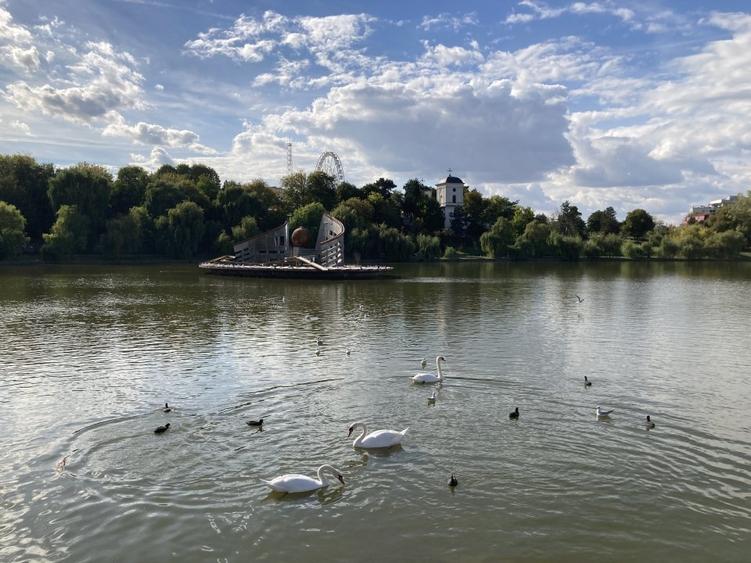 Casa 4 camere - singur in curte - Plumbuita, cu vedere parc si lac - 8