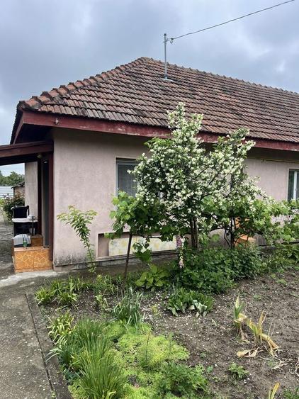 Casa cu doua camere decomandata si foarte spatioasa - 2