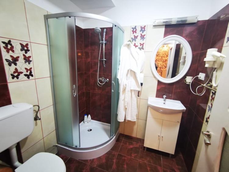 Hanul Potcoava Norocoasa – Business “la cheie“ Ortisoara !! - 7