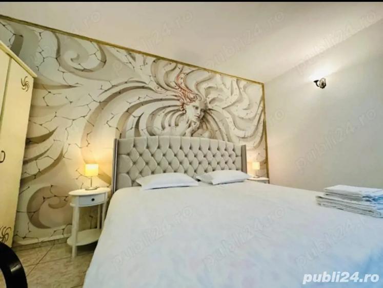 vila sinaia iepurasul 3 - 3