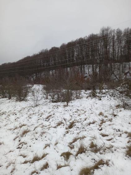 Vand teren transfagaras cartisoara - 2