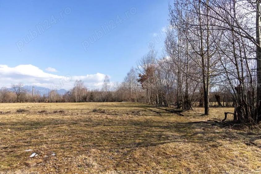 Comision0% - Bran Sohodol vedere spre Piatra Craiului Teren intravilan 5967mp+teren bonus - 10