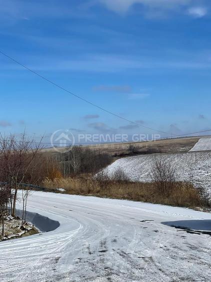 Teren  extravilan 10.800mp, Horlești, utilități disponibile - 2