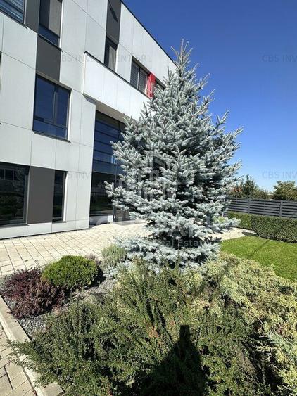 Cladire de Birouri - Zona Someseni - Terasa Mare - 14