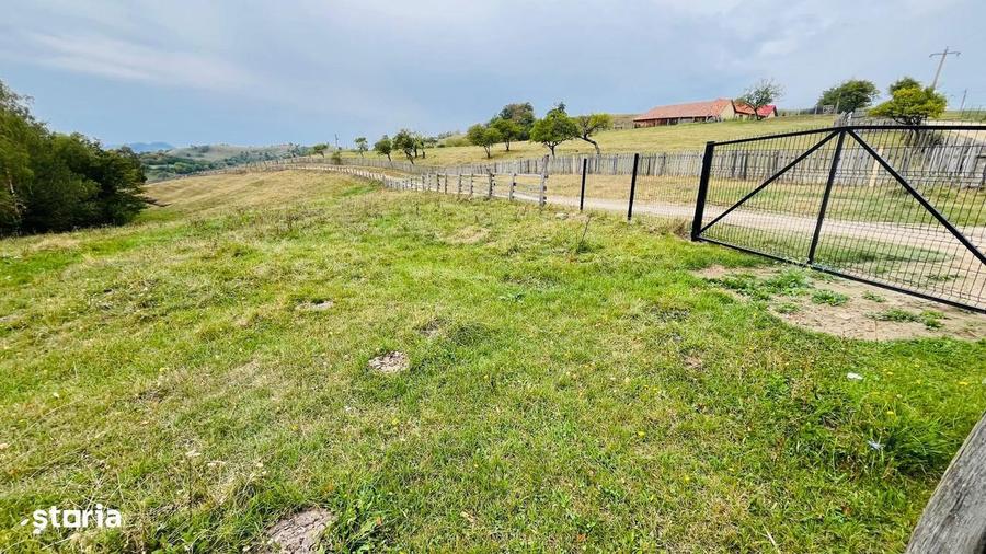 Teren De Vanzare In Zona Purcareti, Jud. Alba. 17800 Mp. - 2