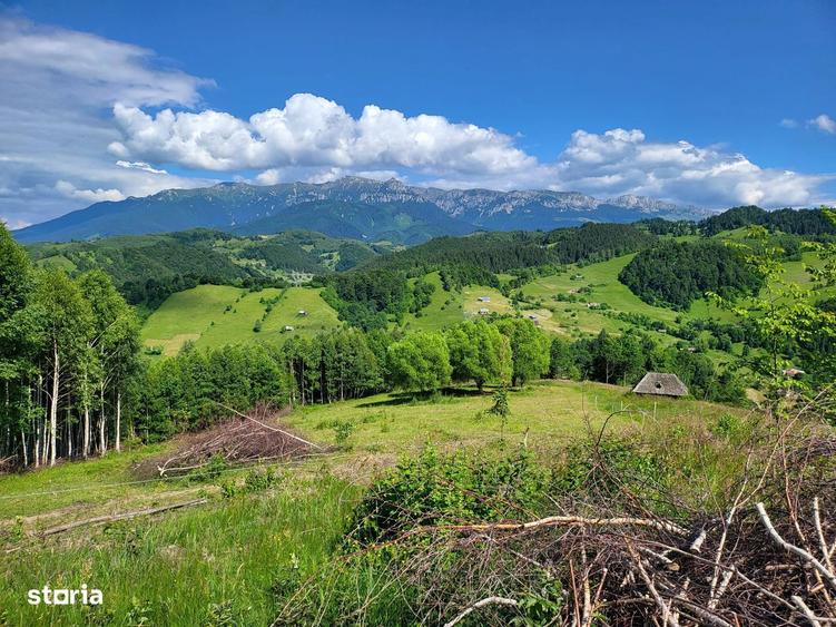 Teren 3 ha Moieciu de Jos | Drumul Carului I Panorama | Utilitati - 5
