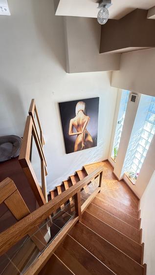 VILA P+E (2008) superba cu piscina si barbeque! - 29