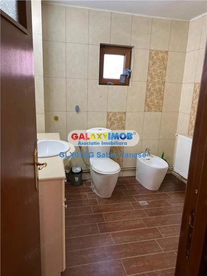 de inchirere vila Stefanesti Lidl ....curte amenajata teren 300 mp - 9