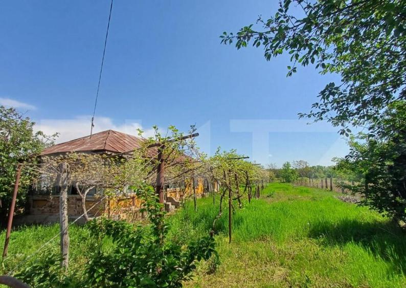 Teren de vanzare, 7300 mp, zona Danesti - 4