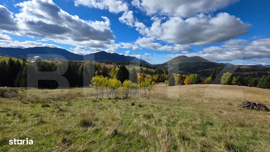Teren 1,5 hectare - la Piatra Fantanele - 6