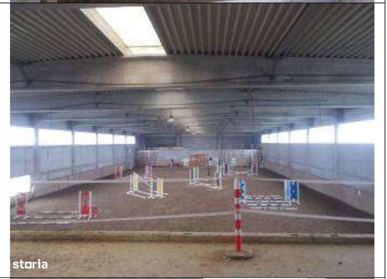 HUB Logistic intermodal 9,1 ha acces direct la DN 59/E70 JEBEL ,Timis - 5