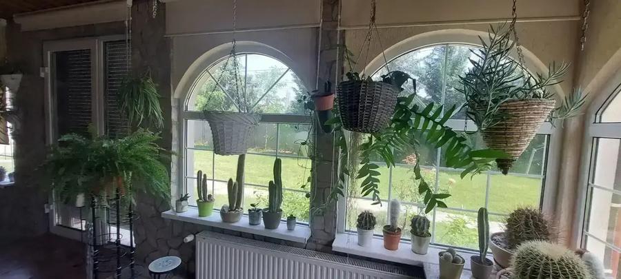 Vila cu 8 Camere Corbeanca | Semineu | Curte 2300mp | Piscina | Sauna - 3