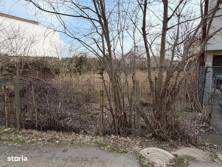 Teren intravilan Palazu , zona rezidentiala - 5