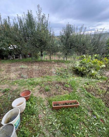 Teren intravilan de vanzare, 556 mp, zona strada Taberei - 1