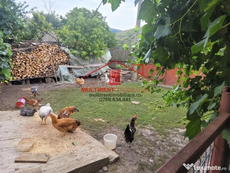 Casa in Telita cu vedere spre padure! - 6