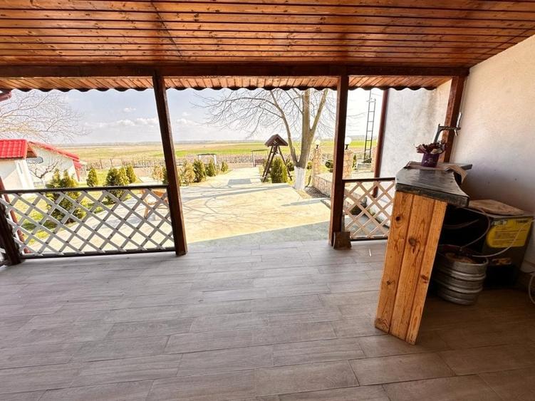 Domeniul de langa Fetesti, Maltezi, ideal pentru evenimente - 12