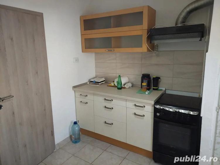 Apartament Buzias - 4